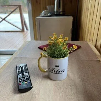 Maja Saunaga Kahele Arturis *