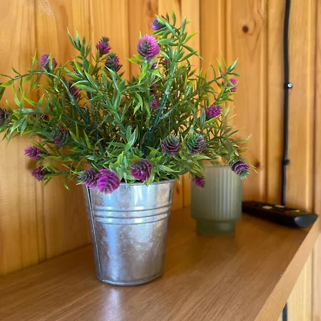 Maja Saunaga Kahele Arturis Romeda