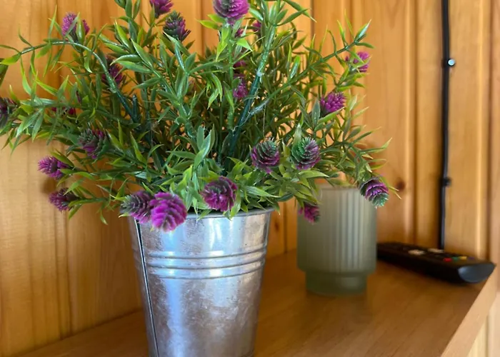 Maja Saunaga Kahele Arturis Romeda